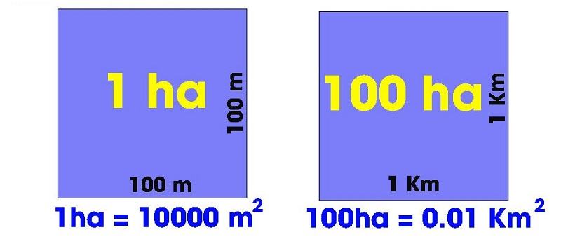 Theo hệ đo lường thì 1km2 = 100 ha.  (Ảnh: Sưu tầm Internet)