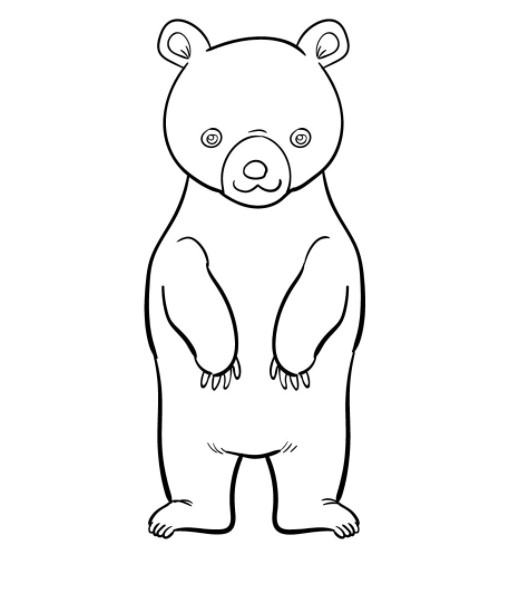 vẽ 8 .  con gấu