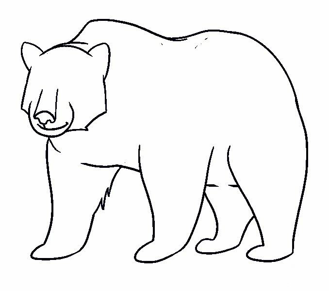 vẽ 15 .  con gấu